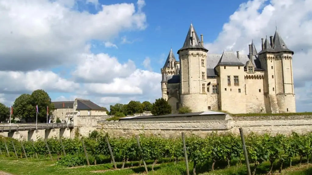 IN FOCUS: Clos Rougeard