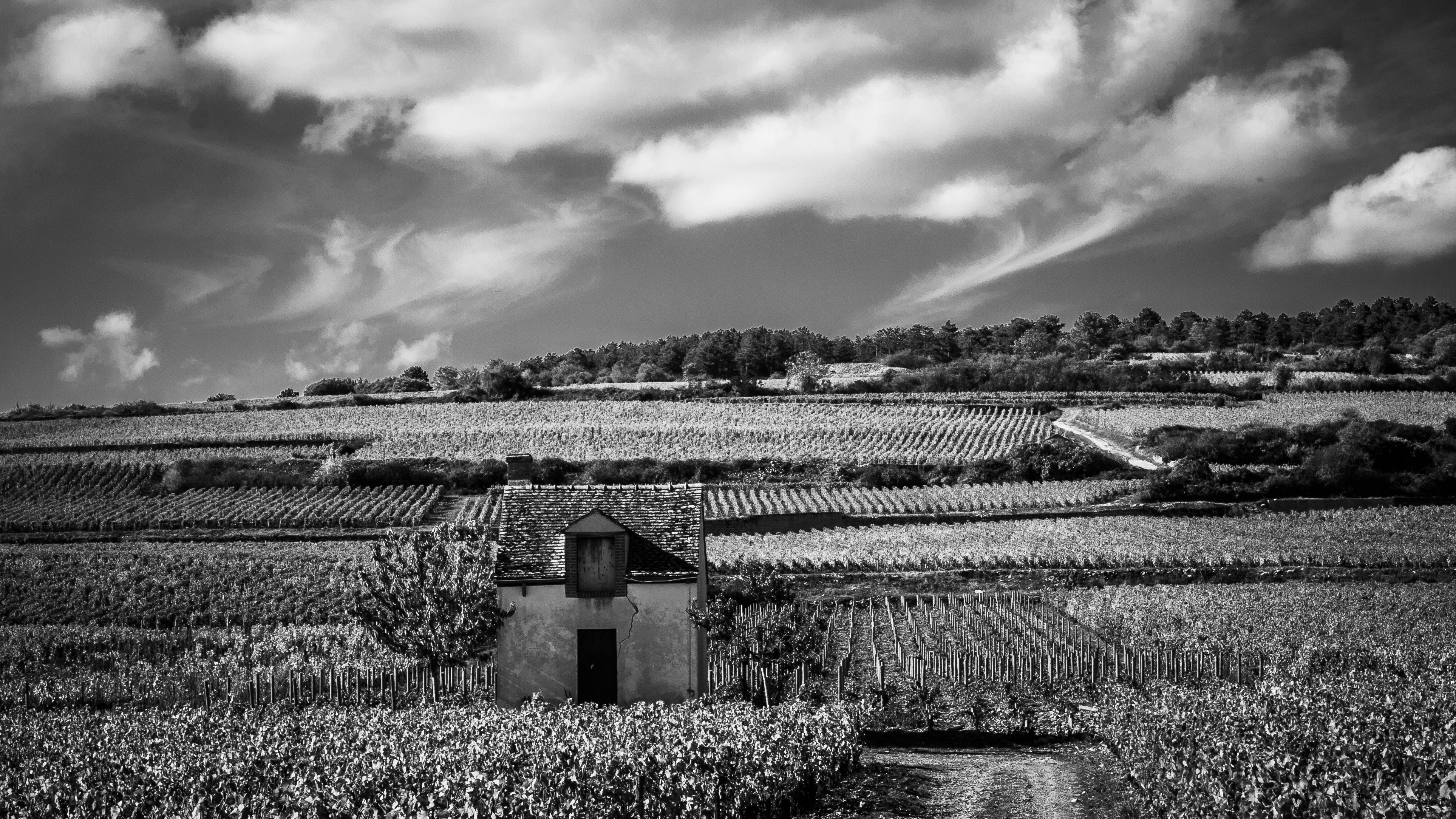 GARDENING | the Jean-François Coche and Odile Dury way