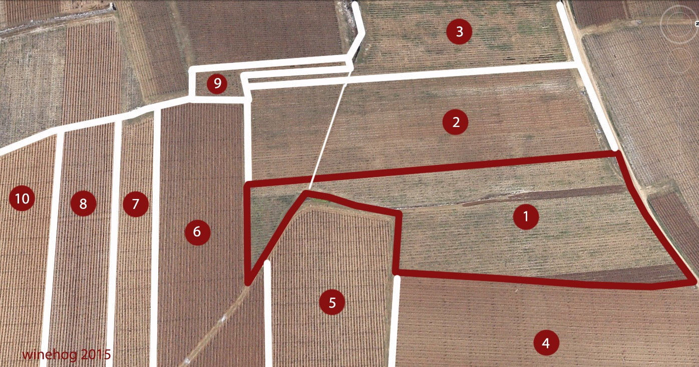 【Summer SALE】大特価Richebourg 1994 Summer SALE】大特価Richebourg 1994 Summer SALE】大特価Richebourg